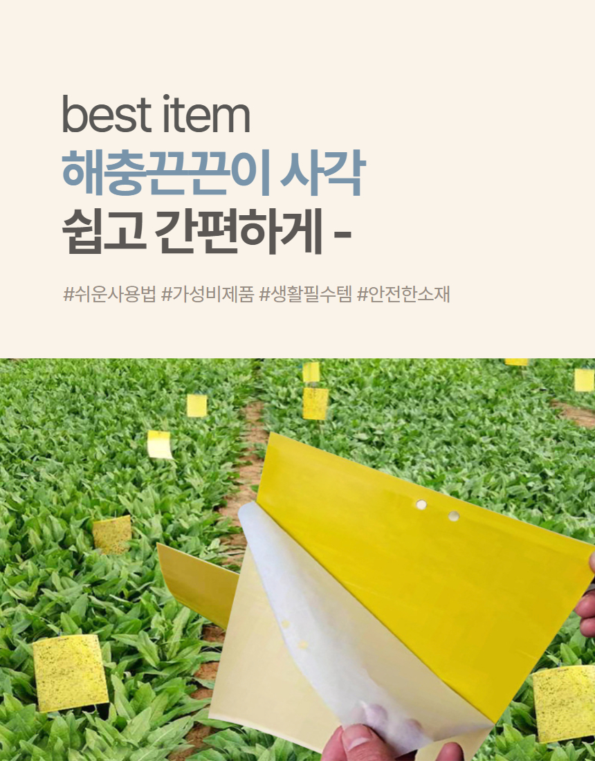 사각끈끈이 초파리 날파리 화분진드기 해충 트랩 20x30 20매 상세 이미지 2
