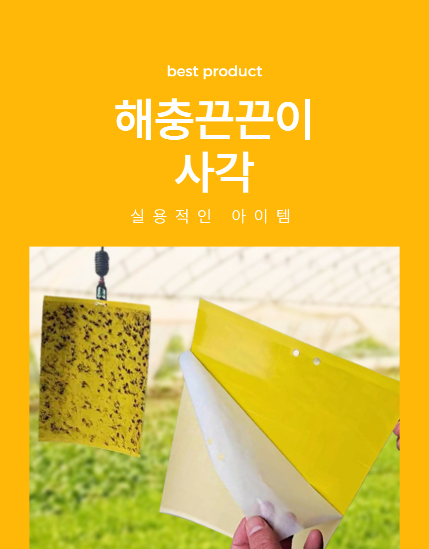 사각끈끈이 초파리 날파리 화분진드기 해충 트랩 20x30 20매 상세 이미지 1