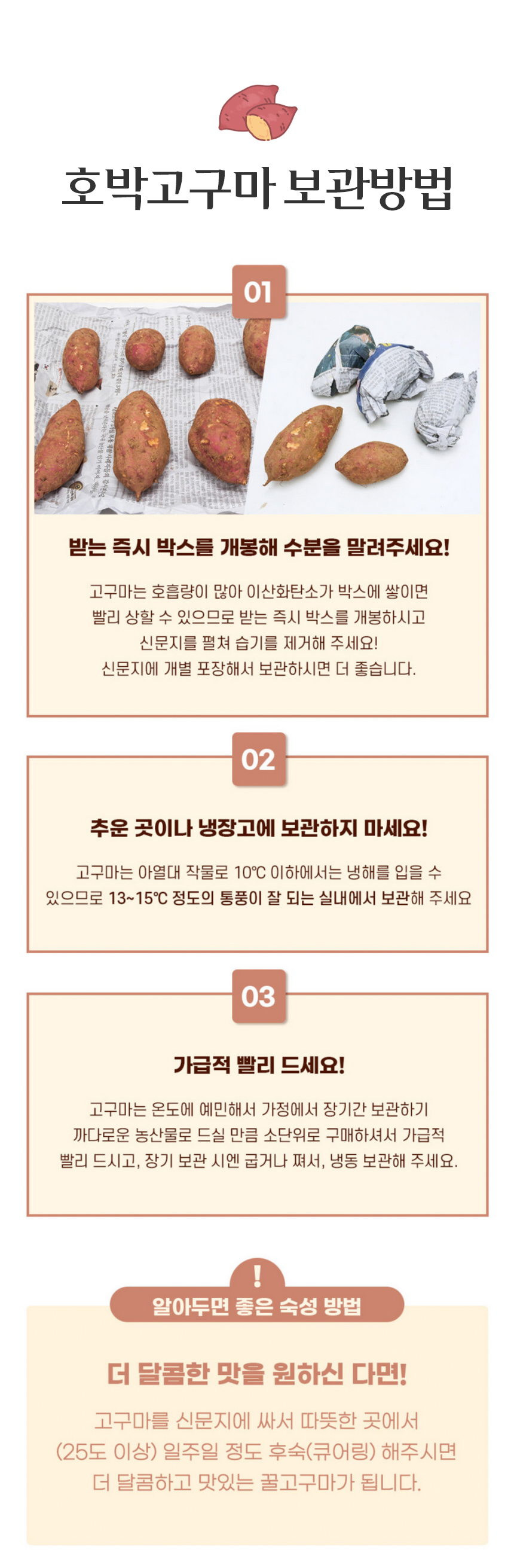 산지직송 보령 황토 호박고구마 비세척 10kg 상세 이미지 13