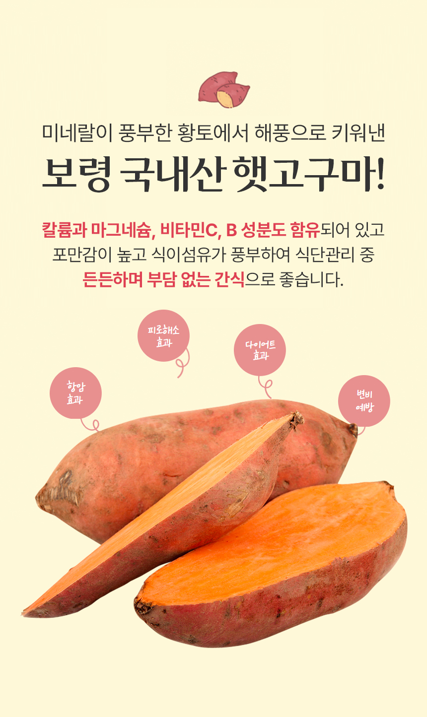 산지직송 보령 황토 호박고구마 비세척 10kg 상세 이미지 2